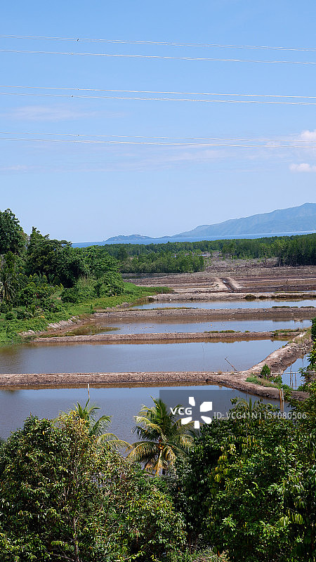 远眺鱼塘图片素材