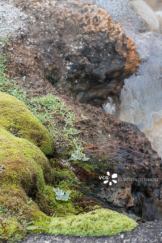 中途间歇泉盆地图片素材