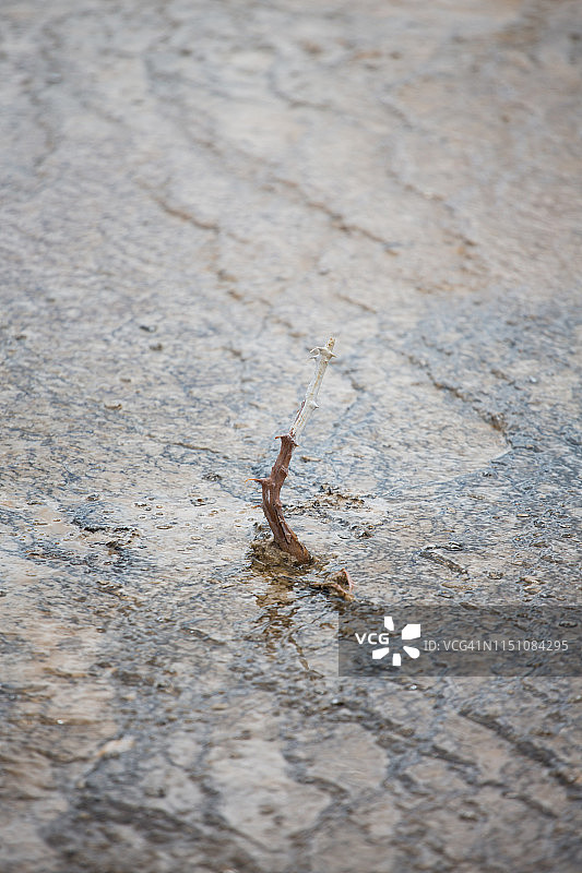 中途间歇泉盆地图片素材