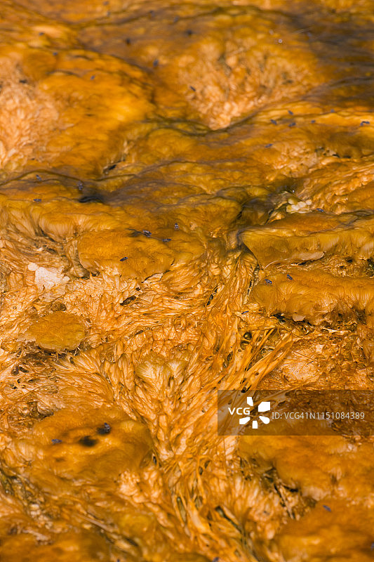 中途间歇泉盆地图片素材