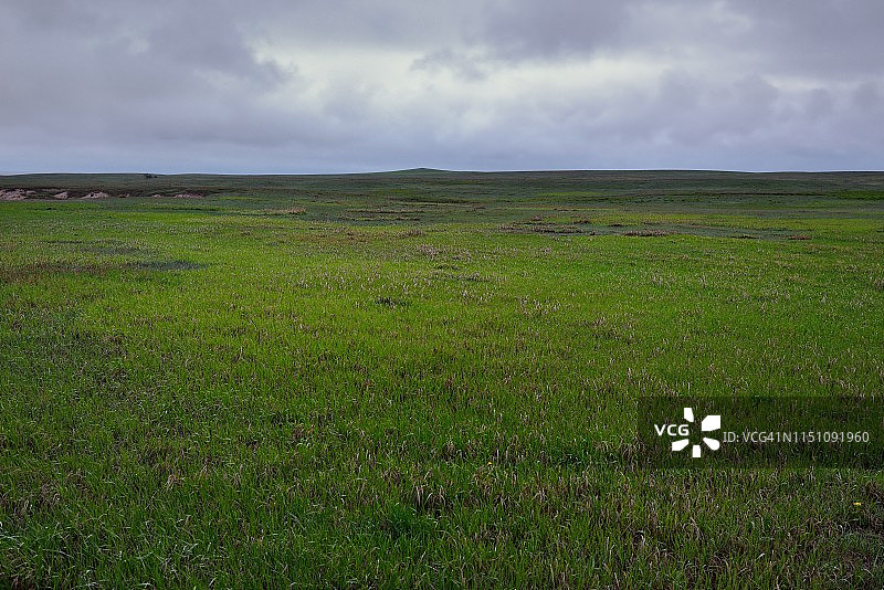 我对着风歌唱，因为我很快乐图片素材