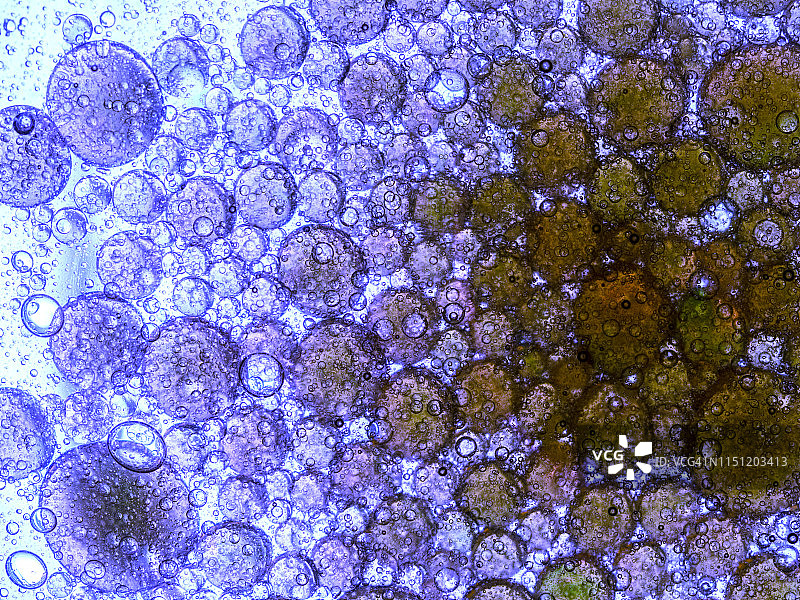 全框架抽象多色流动性液体背景。图片素材