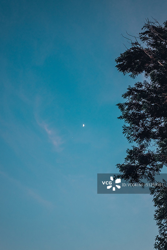 夜空半月图片素材