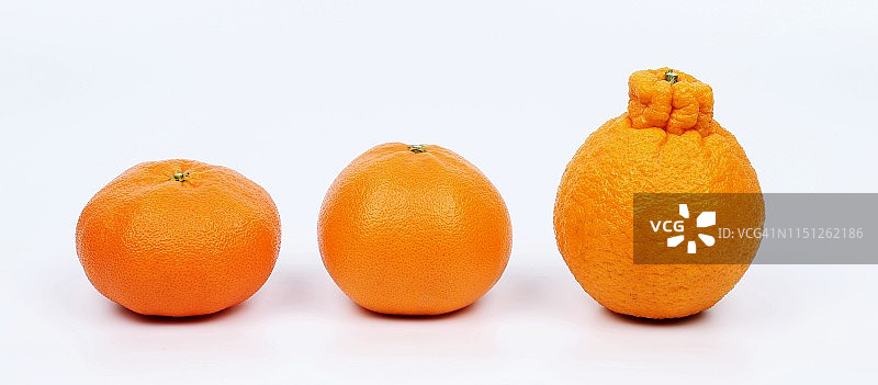 韩国济州岛未成熟的青橘图片素材