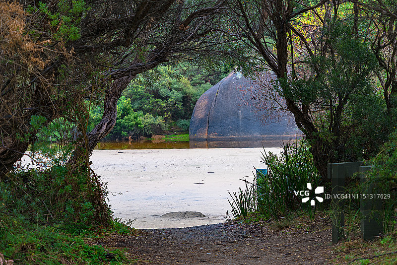 澳大利亚维多利亚州威尔逊海岬国家公园潮汐河的树隧道图片素材