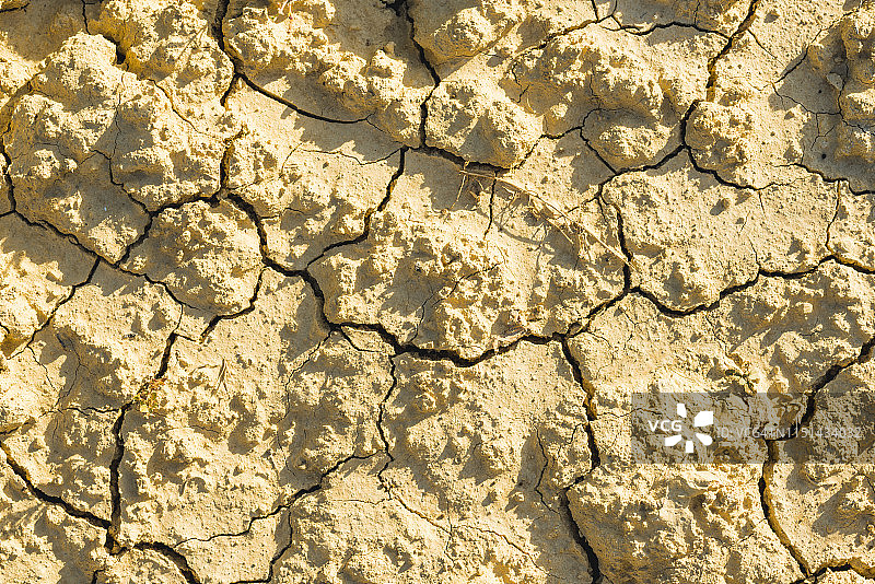 干燥的土地特写图片素材