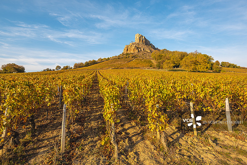 索吕特雷石灰岩和周围的葡萄园，法国勃艮第图片素材