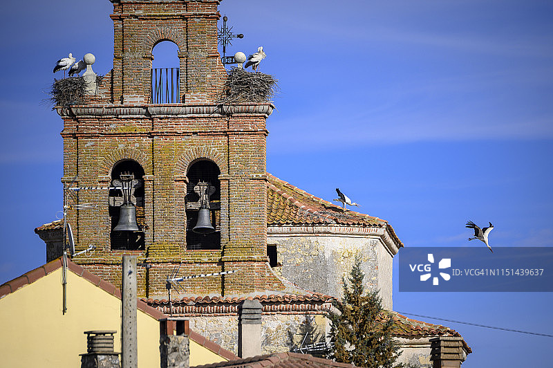 西班牙塞哥维亚钟楼里的鹳鸟图片素材
