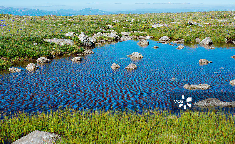 土耳其阿尔特温高原池塘边的野草图片素材