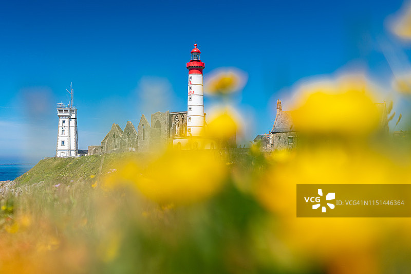 圣马修角鲜花盛开的夏日图片素材