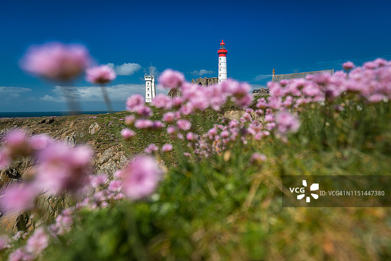 圣马修角鲜花盛开的夏日图片素材
