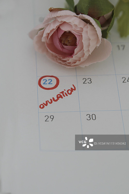 带鲜花的月经日历图片素材