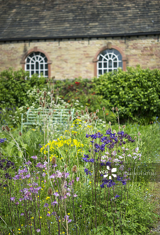 围墙花园中的早夏花朵图片素材