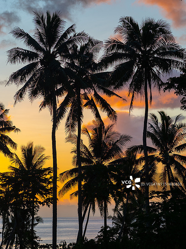 斐济日落与棕榈树图片素材