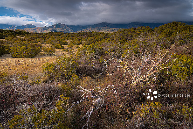 新西兰蒂阿瑙荒野科学保护区图片素材