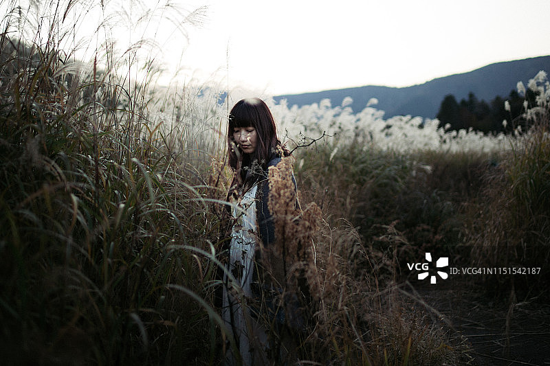 一名妇女被蒲苇草环绕图片素材