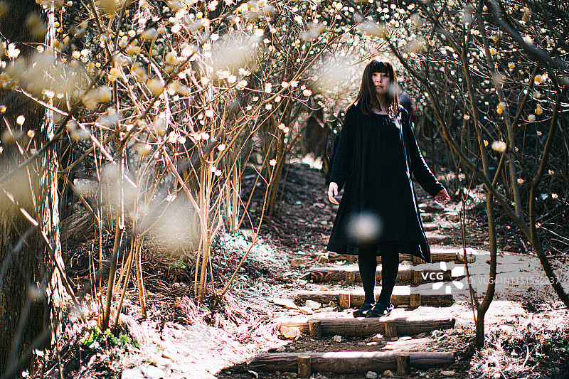 在结香树林中的女人图片素材