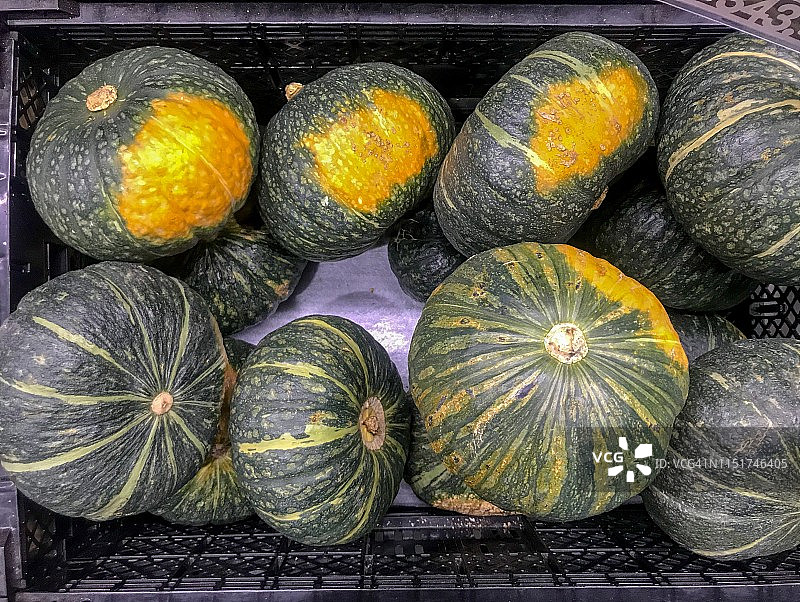 新西兰产南瓜图片素材