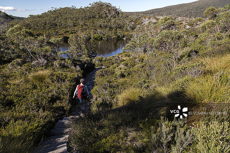 年长的男人在摇篮山-圣克莱尔湖国家公园的小路上行走（塔斯马尼亚）图片素材