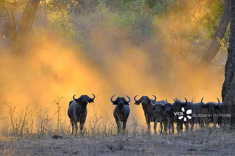 黑暗灵魂图片素材