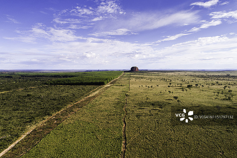 巴西托坎廷斯州塞拉多景观的俯视图图片素材