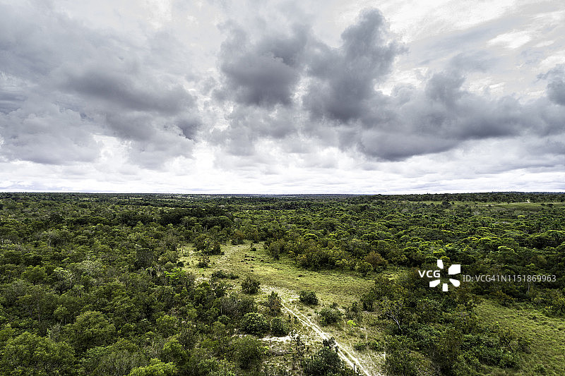 巴西托坎廷斯州塞拉多景观的俯视图图片素材