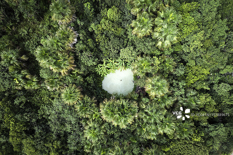 Jalapão州立公园Fervedouro Bela Vista俯视图图片素材