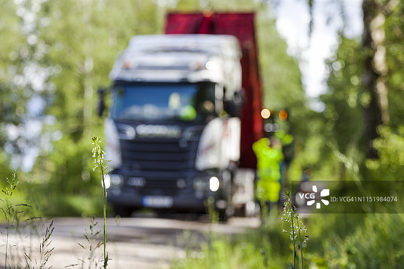 路边植物图片素材