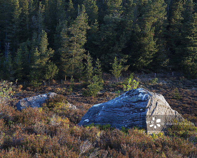 英国诺森伯兰国家公园德雷克石图片素材