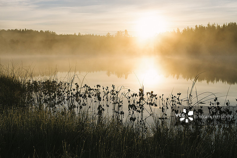 湖上的雾图片素材