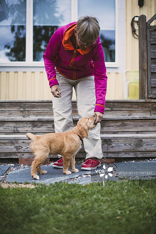 与狗玩耍的女人图片素材