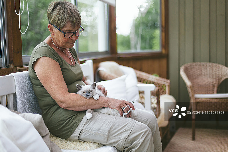 膝盖上放着猫的女人图片素材