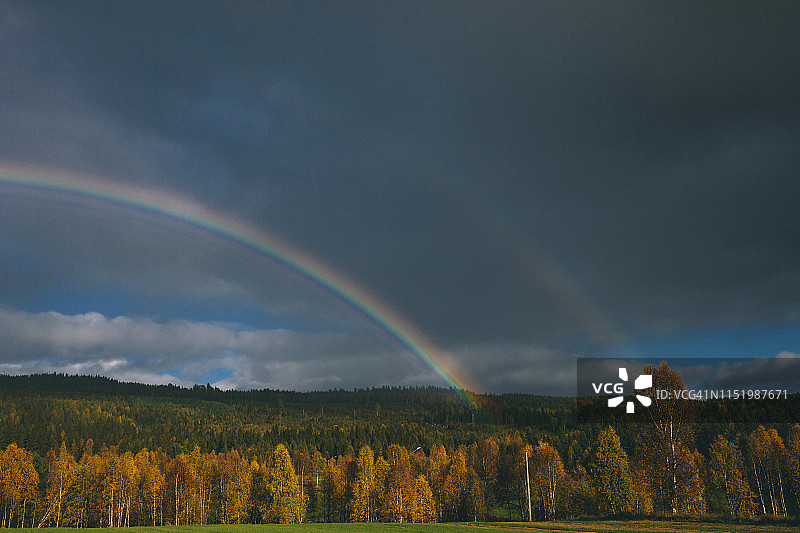 森林上空的彩虹图片素材