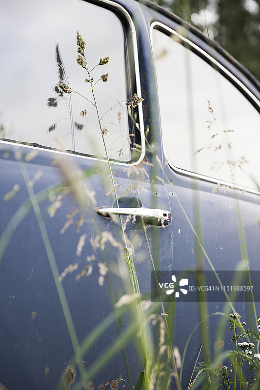 老式汽车与草地图片素材