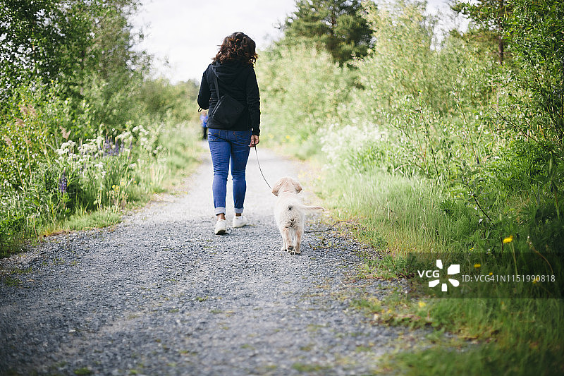 遛狗的女人图片素材