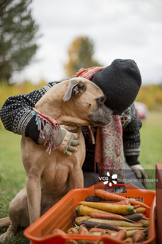 女人带着狗和新鲜采摘的胡萝卜图片素材