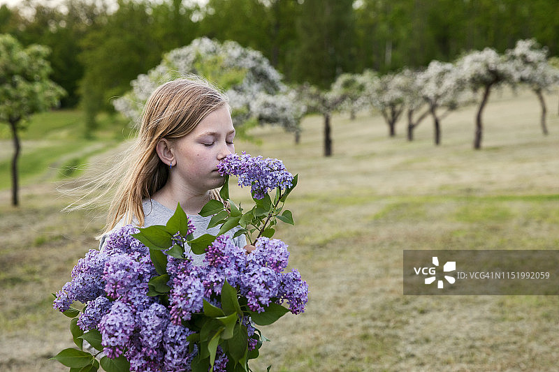 手持丁香花的女孩图片素材