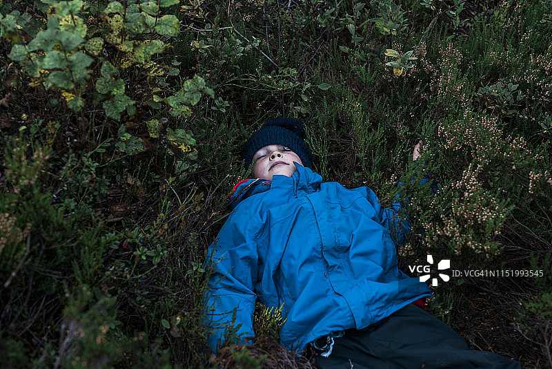 男孩躺在石南树丛上图片素材