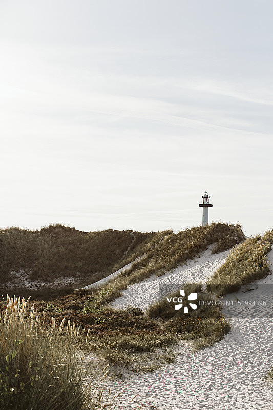 草地沙丘图片素材