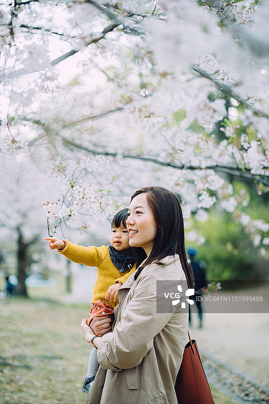 快乐的年轻母亲在公园里美丽的樱花树下拥抱可爱的女儿，享受春日图片素材