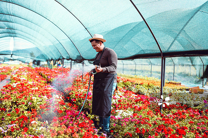 快乐的西班牙裔男园丁在浇花图片素材