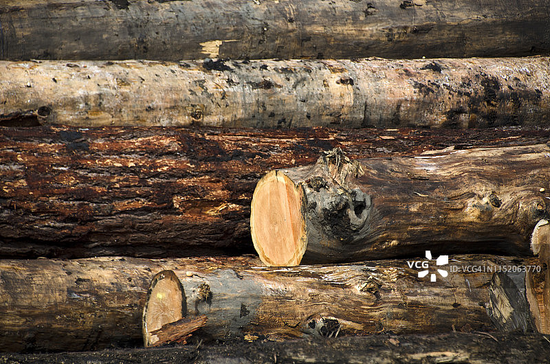 原木切割图片素材