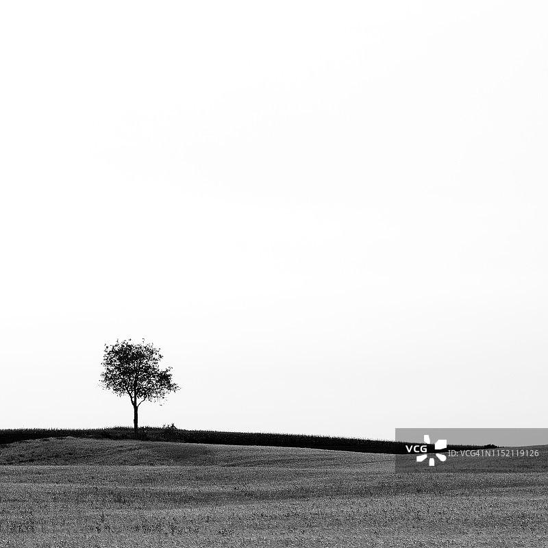 圣加布里埃尔-德-里穆斯基的树木图片素材