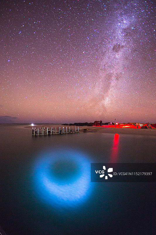 鲨鱼湾猴子米亚的银河图片素材