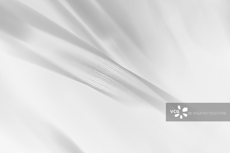 黑白棕榈叶扇形图案图片素材