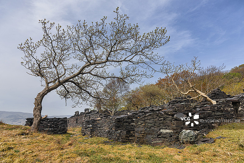 回归自然图片素材