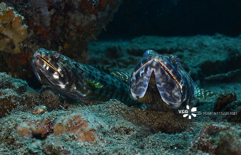 潜水员和沙子图片素材