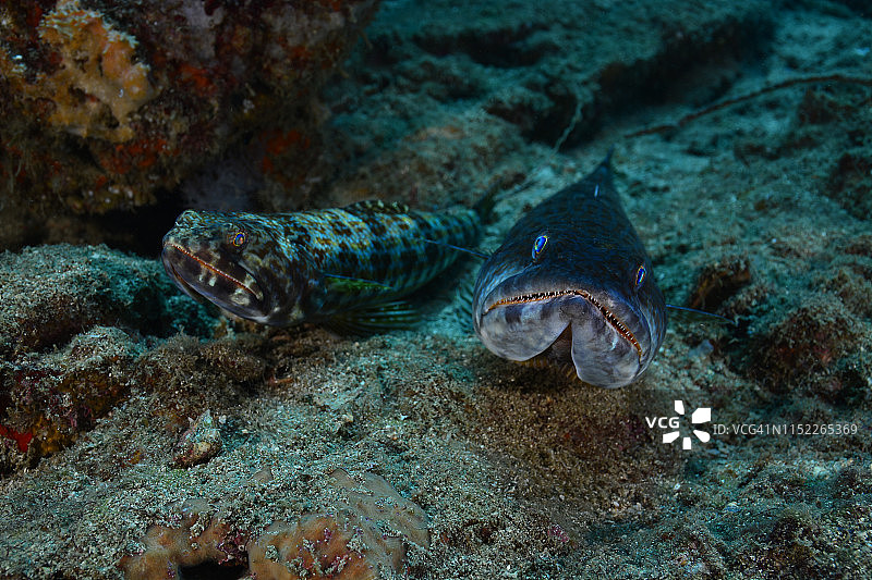 潜水员和沙子图片素材