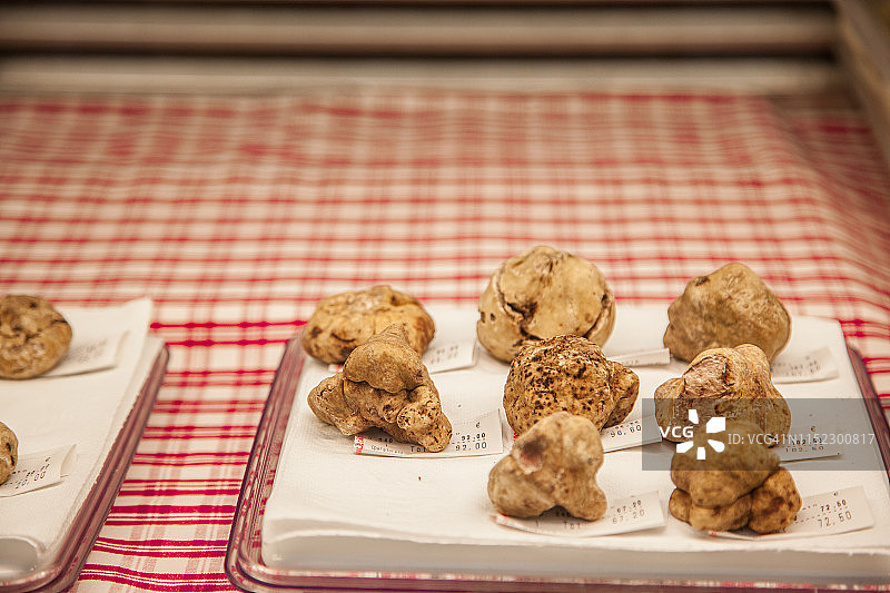 白色阿尔巴松露图片素材