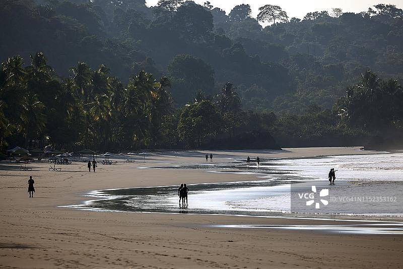 哥斯达黎加埃斯帕迪亚海滩棕榈滩逆光下的早晨图片素材